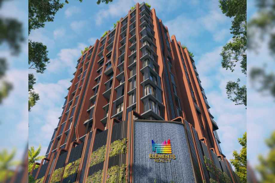 32-Elements-Elevation-Image