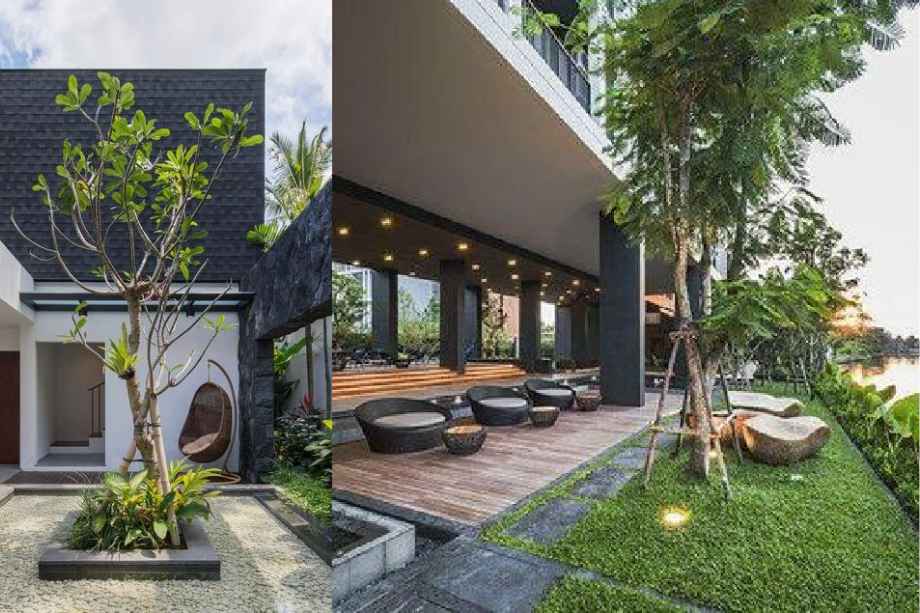 32-Elements-Amenities-Focal-tree-&-Lawn-Area