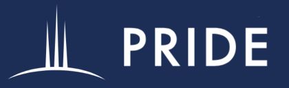 Pride Group Logo