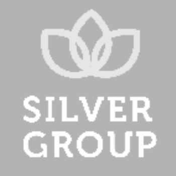 Silver Group Logo