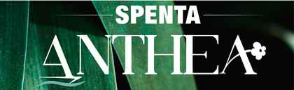 Spenta Anthea Logo
