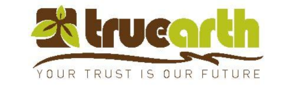 Truearth Developer PVT LTD Logo