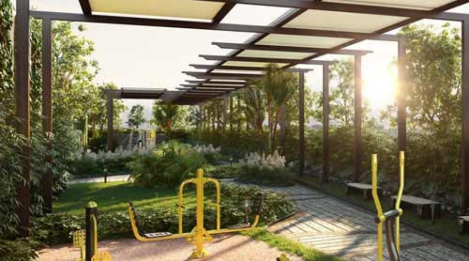 The-View-Gallery-Jungle-Gym