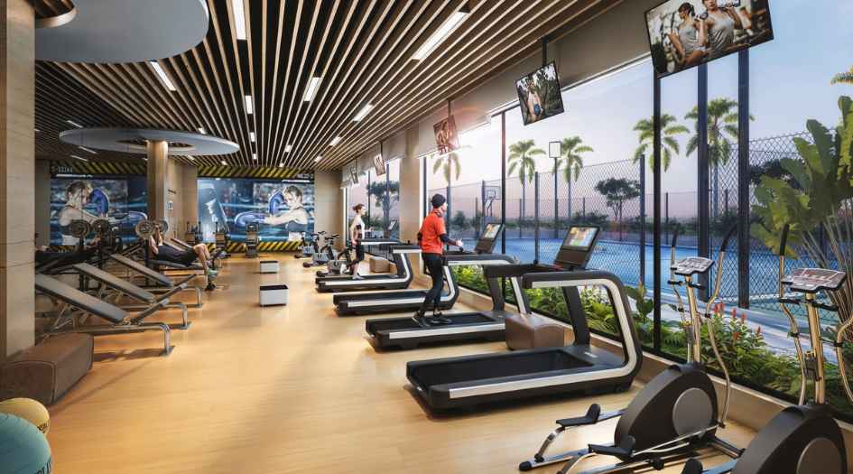 Alliaance-The-View-Gym
