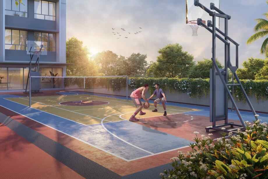 Dotom-Sapphire-Multipurpose-court