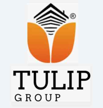 Tulip Group