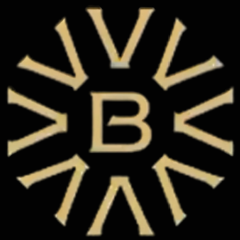 VB GROUP