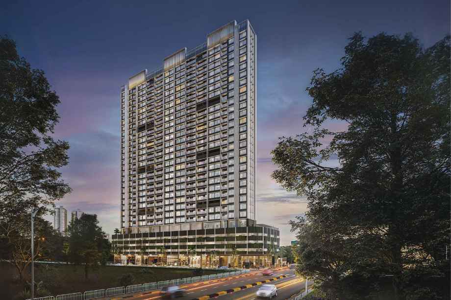 Mangroves-Elevation-Image-Evening