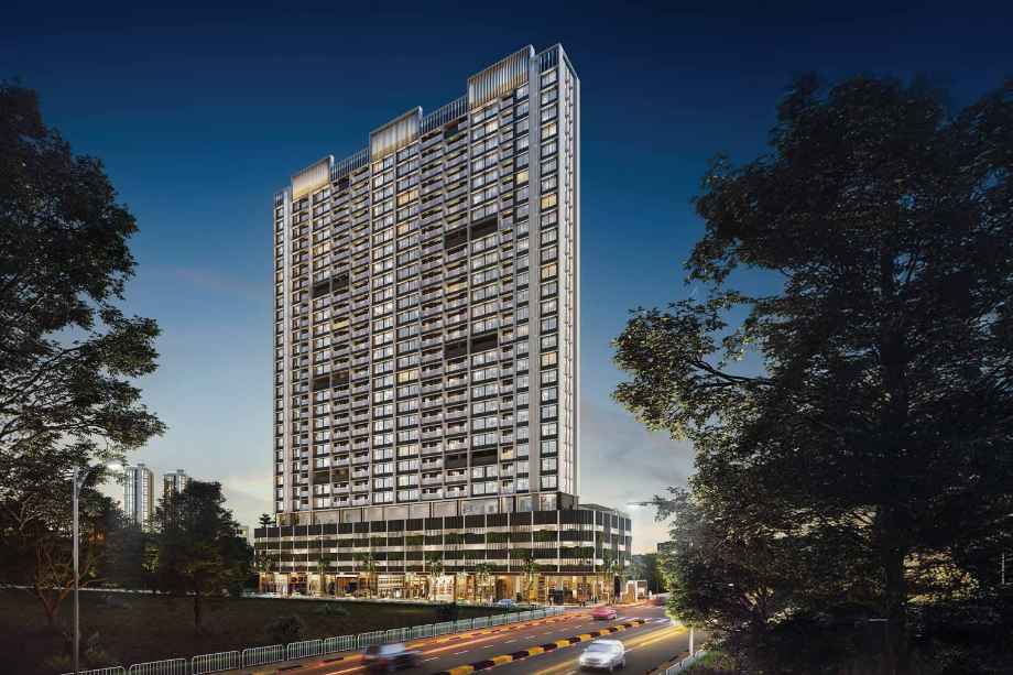 Mangroves-Elevation-Image-Night