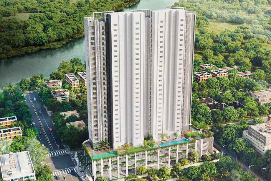 Mangroves-Elevation-Image-front-view