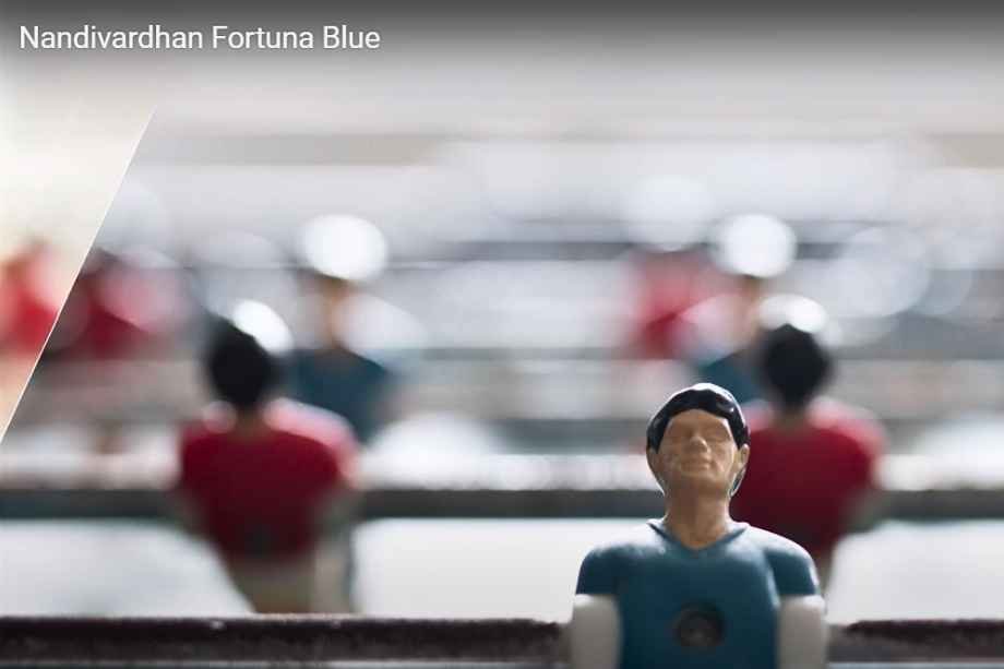 Nandivardhan-Fortuna-Blue-Amenities-Indoor-Games-Room