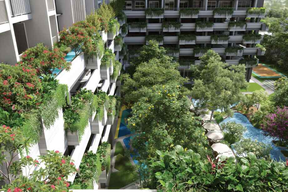 Rohan-Harita-landscaped-garden