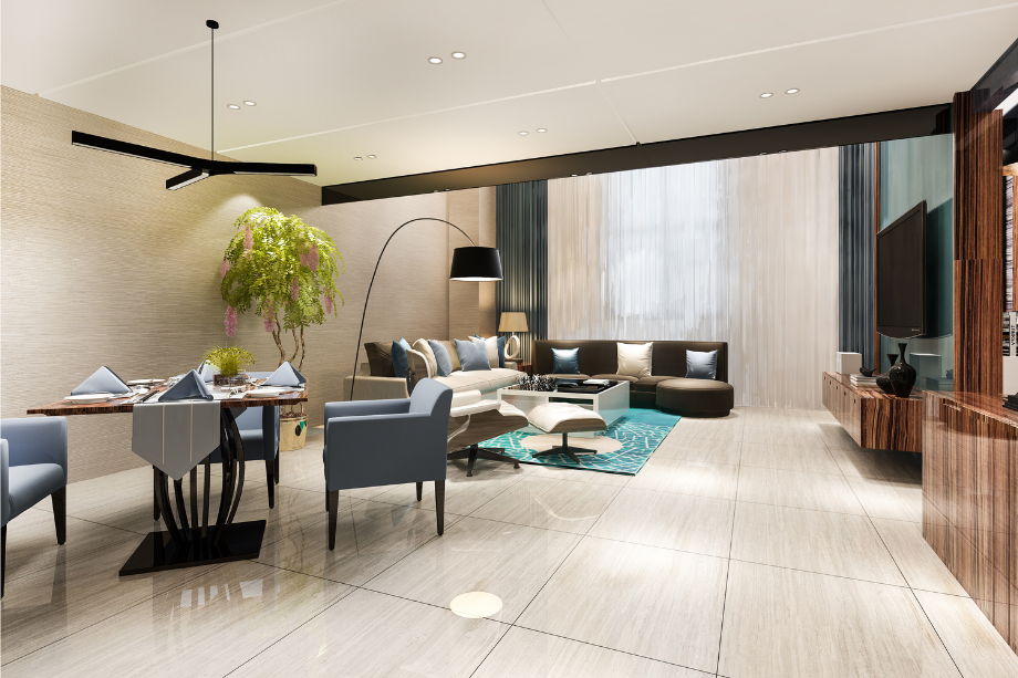 Sattva-Sumera-Living-room