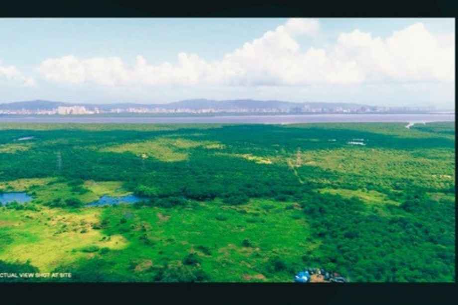 Silver-Serenity-Elevation-image-Actual-view