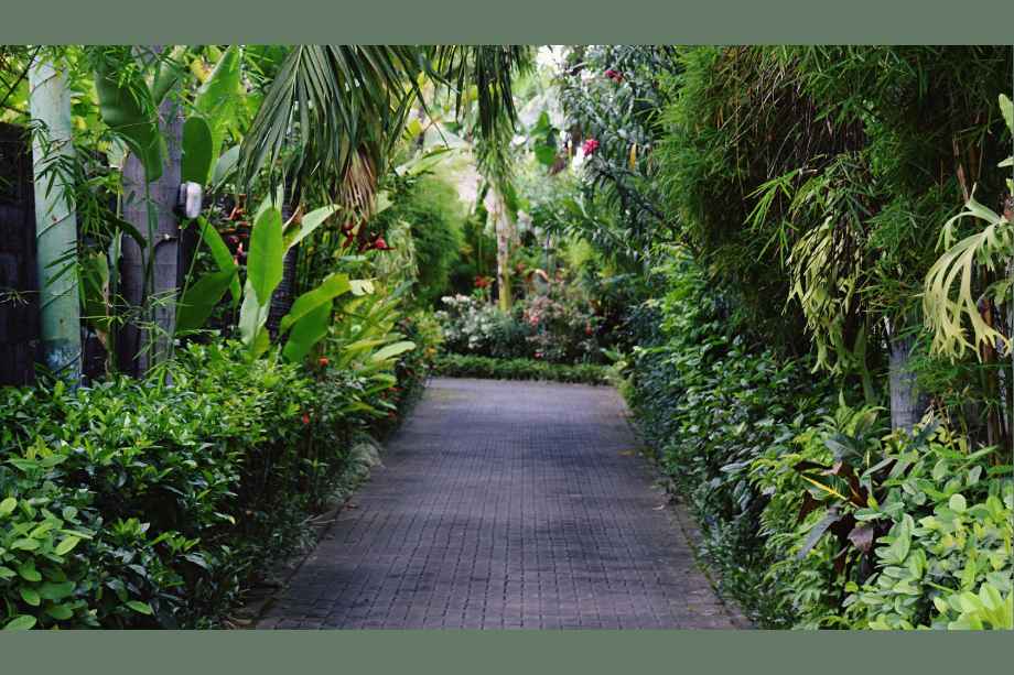 Spenta-Anthea-Amenities-Walking-Path