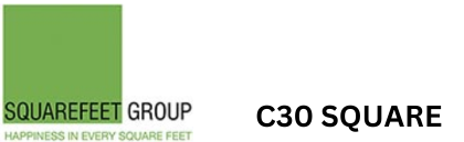 C30 Square Logo