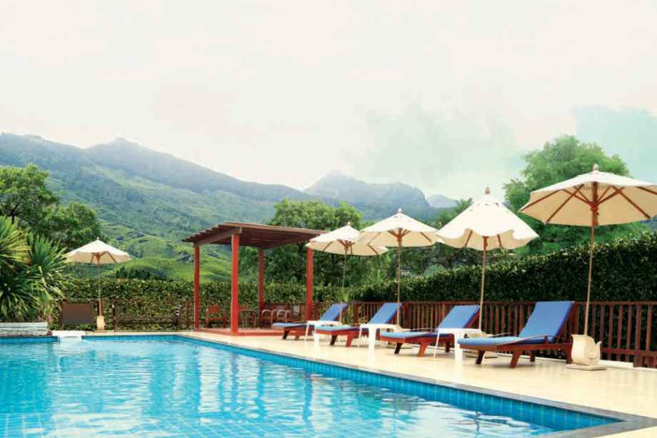 Tridhaatu-Aranya-Amenities-Swimming-Pool